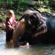 mahout experience